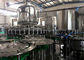 Automatic Pineapple Juice Bottle Filling Machine 6250*3050*2400mm Processing Plant