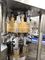 Lemon Pineapple Juice Flavor Water Rotary Can Bottling Machine, Canning Machine